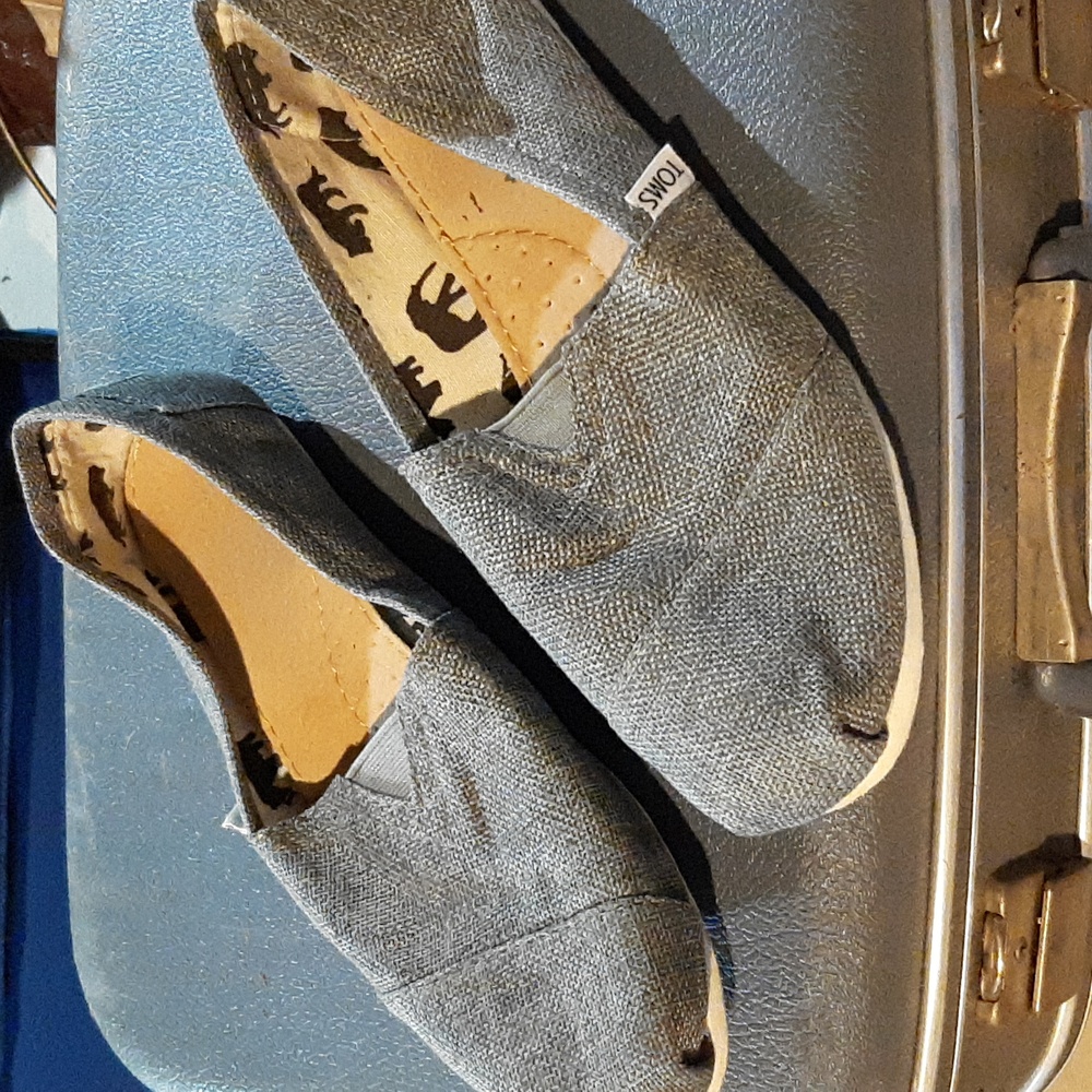 TOMS Grey canvas shoes
